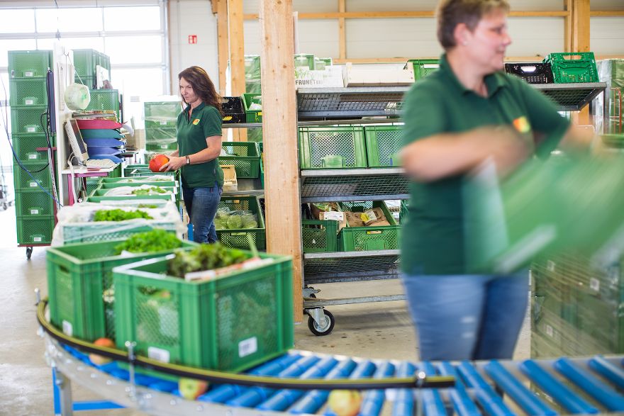 Gemüsekisten werden gepackt