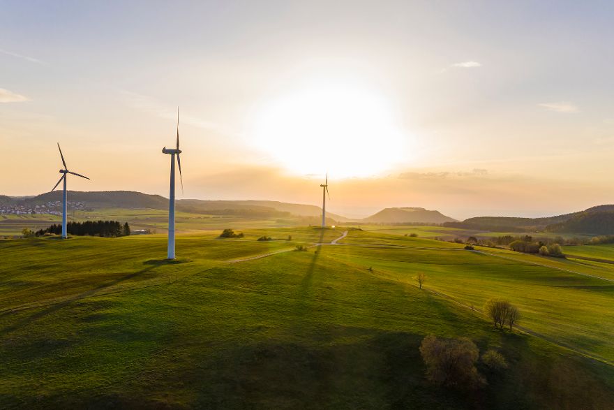 Windräder auf einer grünen Wiese