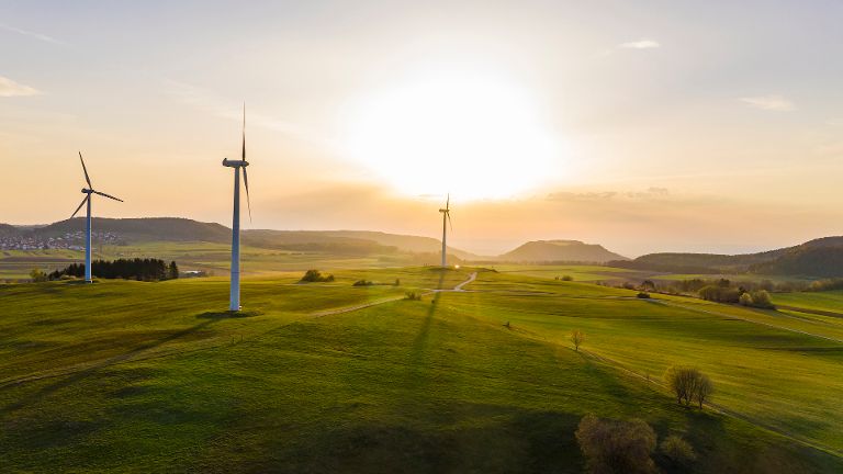 Windräder auf einer grünen Wiese
