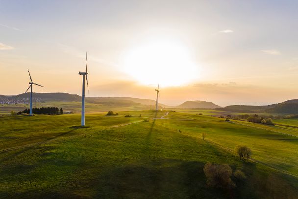 Windräder auf einer grünen Wiese